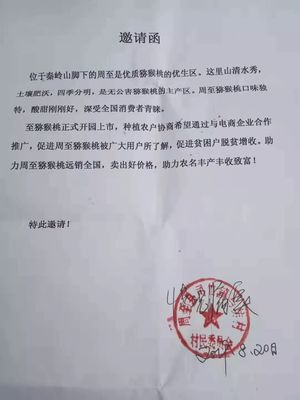 愛心傳遞周至 40萬(wàn)斤獼猴桃滯銷待援，無聲老人與留守兒童的期盼