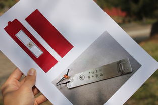 廣告策劃與設(shè)計(jì)在校園文化產(chǎn)品開發(fā)中的創(chuàng)新應(yīng)用與網(wǎng)絡(luò)技術(shù)服務(wù)的協(xié)同價(jià)值